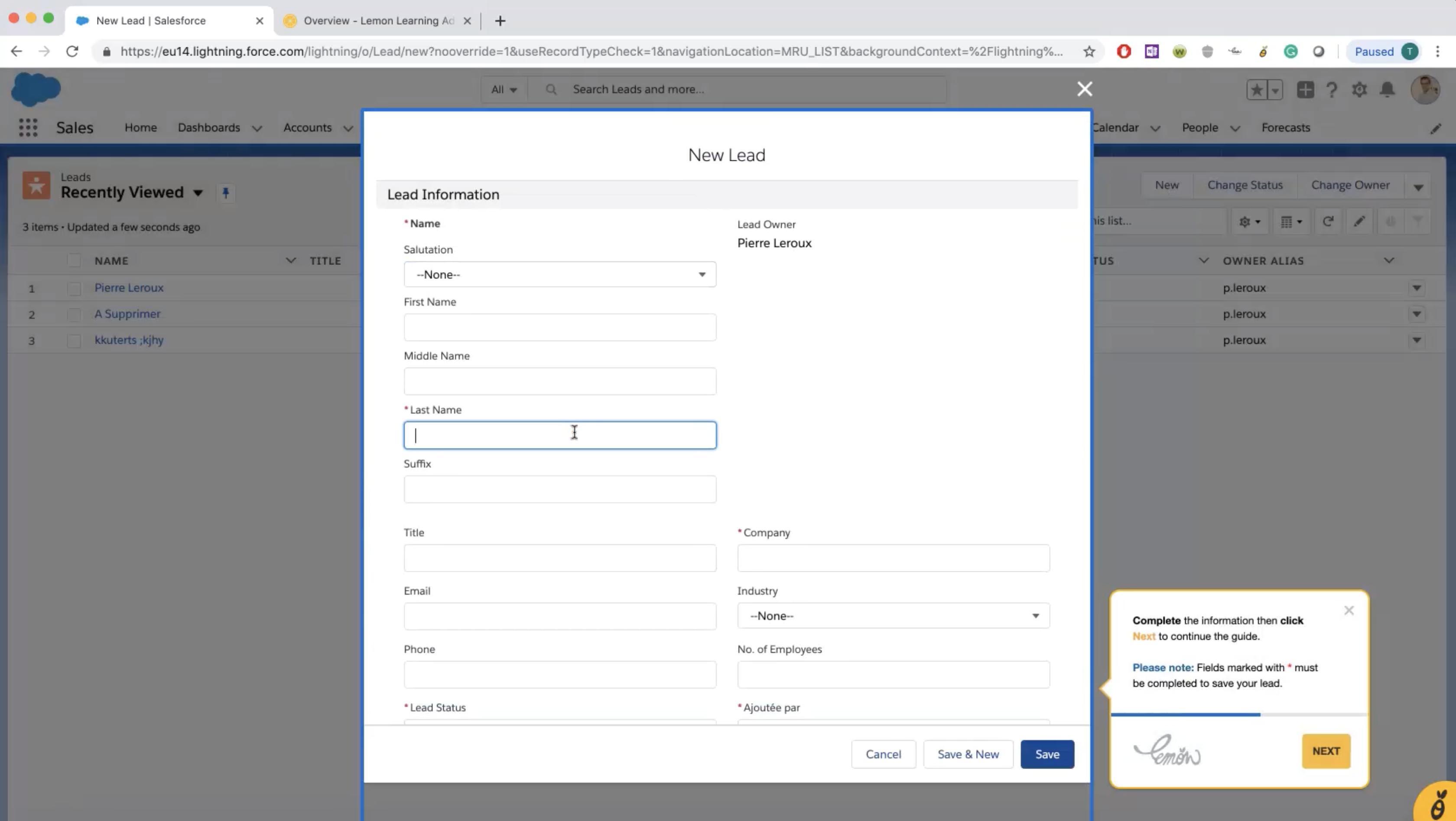 Interactive navigation assistance directly in the tool (here, Salesforce)