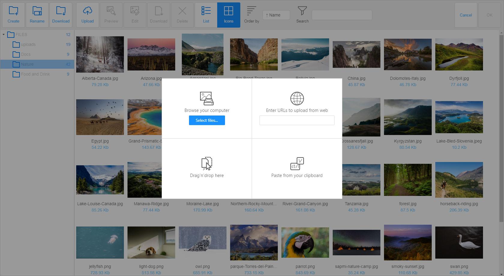 Built-in Flmngr file manager Built-in Flmngr file manager