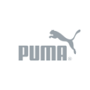Bynder-Puma2 Bynder-Puma2